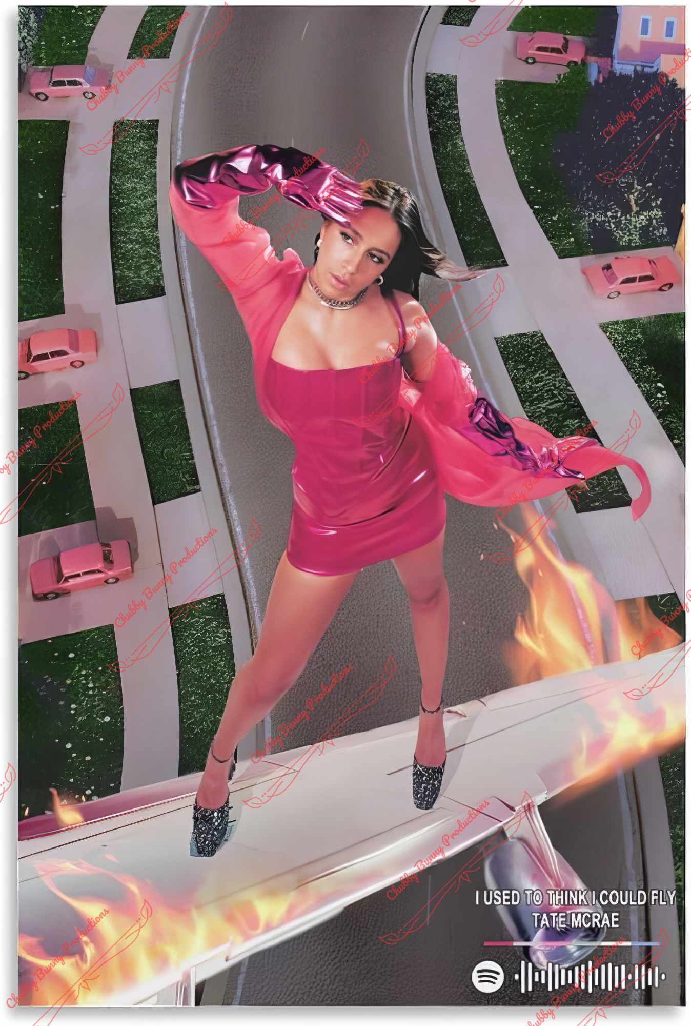 T8 Poster Dupe 6 13 x 19