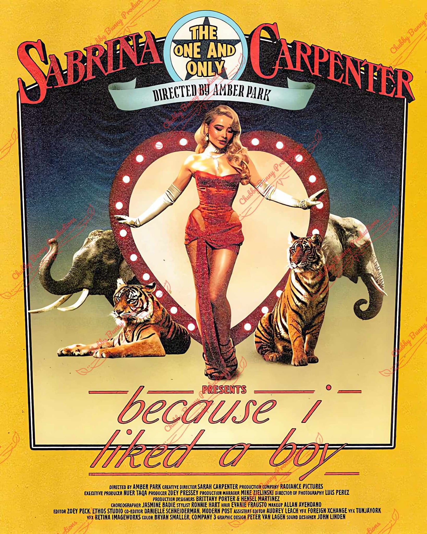 SC Because I liked a Boy Poster Dupe