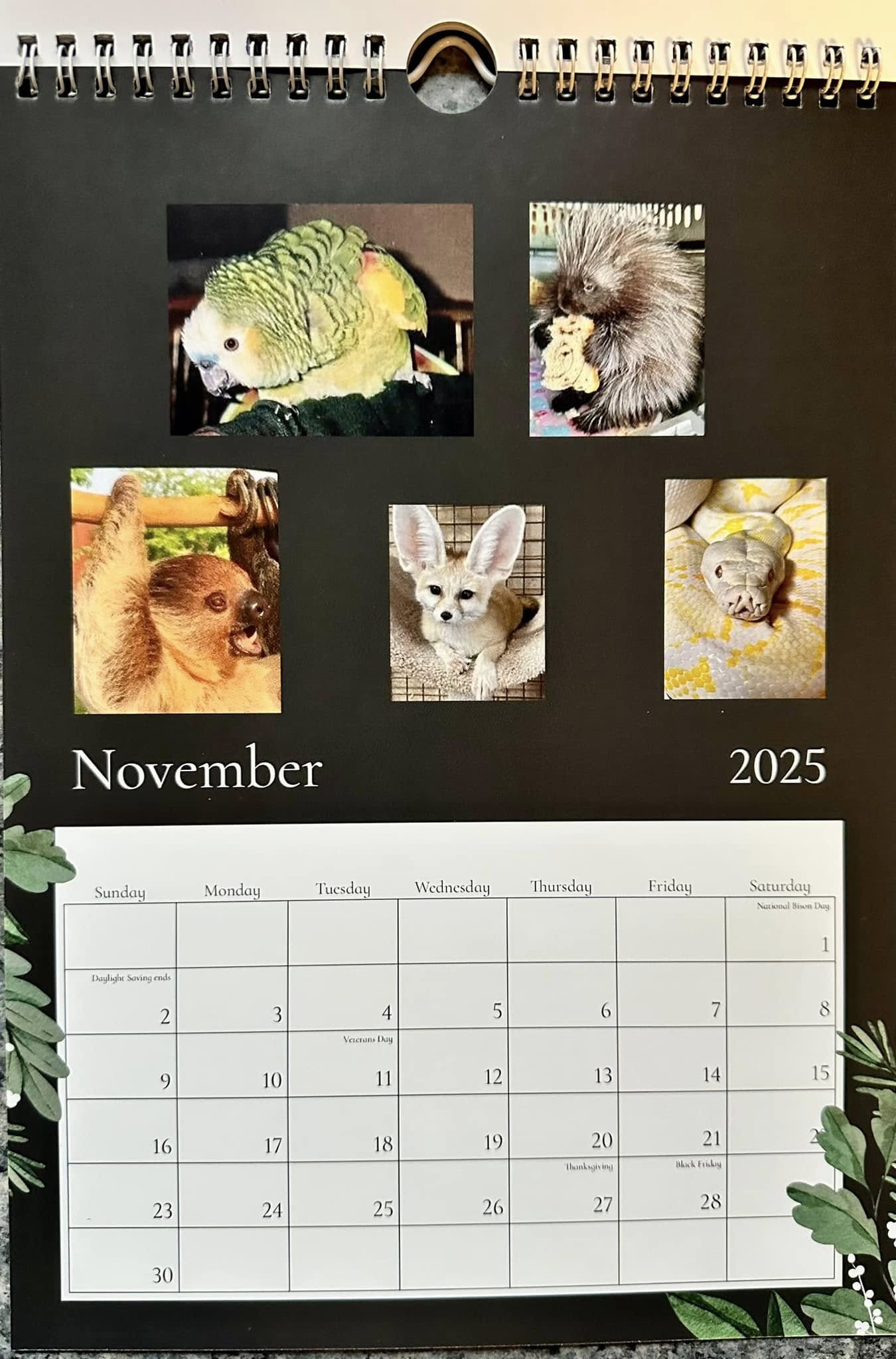 Animal Magic 2025 Calendar