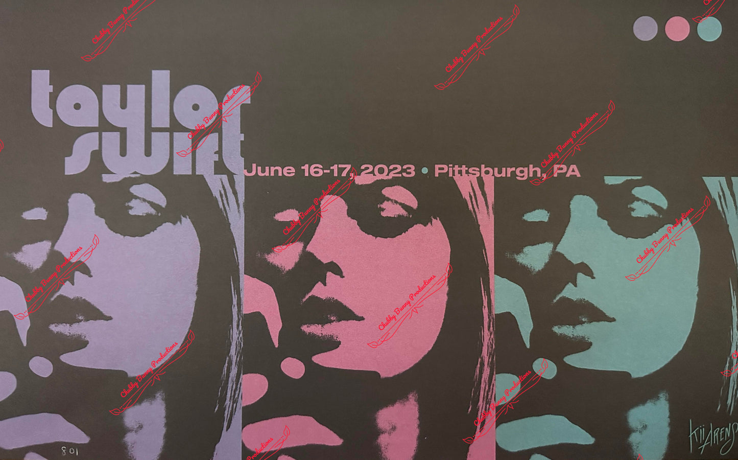 TS Pittsburgh, PA Eras Tour Dupe 13x19