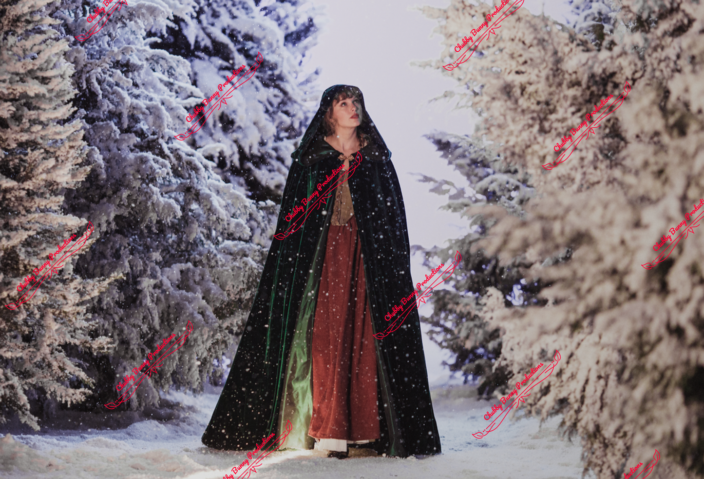 TS Evermore Wildest Winters 13x19 Poster