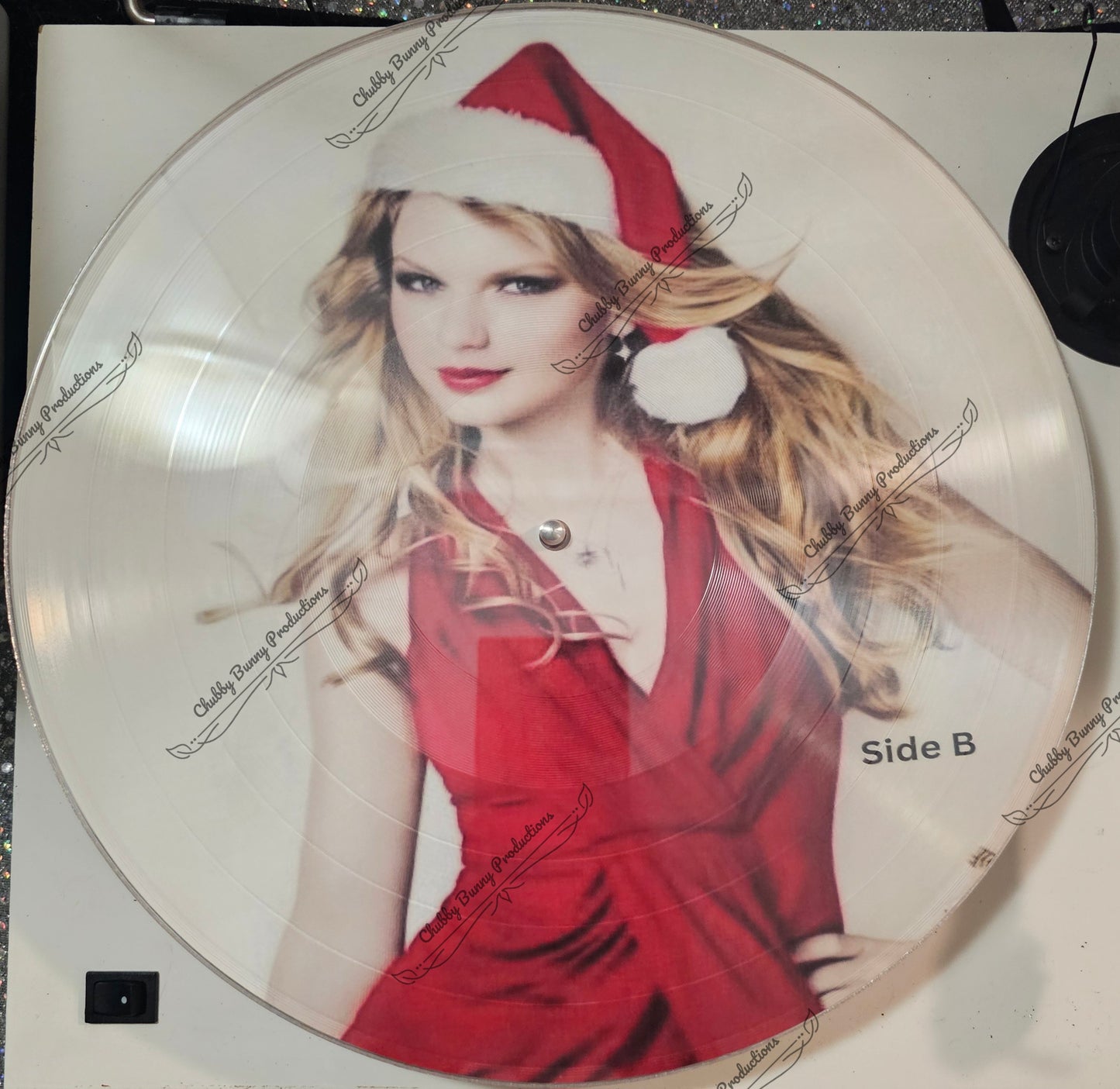 TS Fan Made Christmas Picture LP