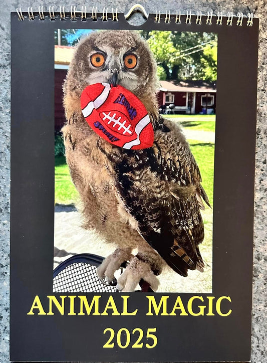 Animal Magic 2025 Calendar