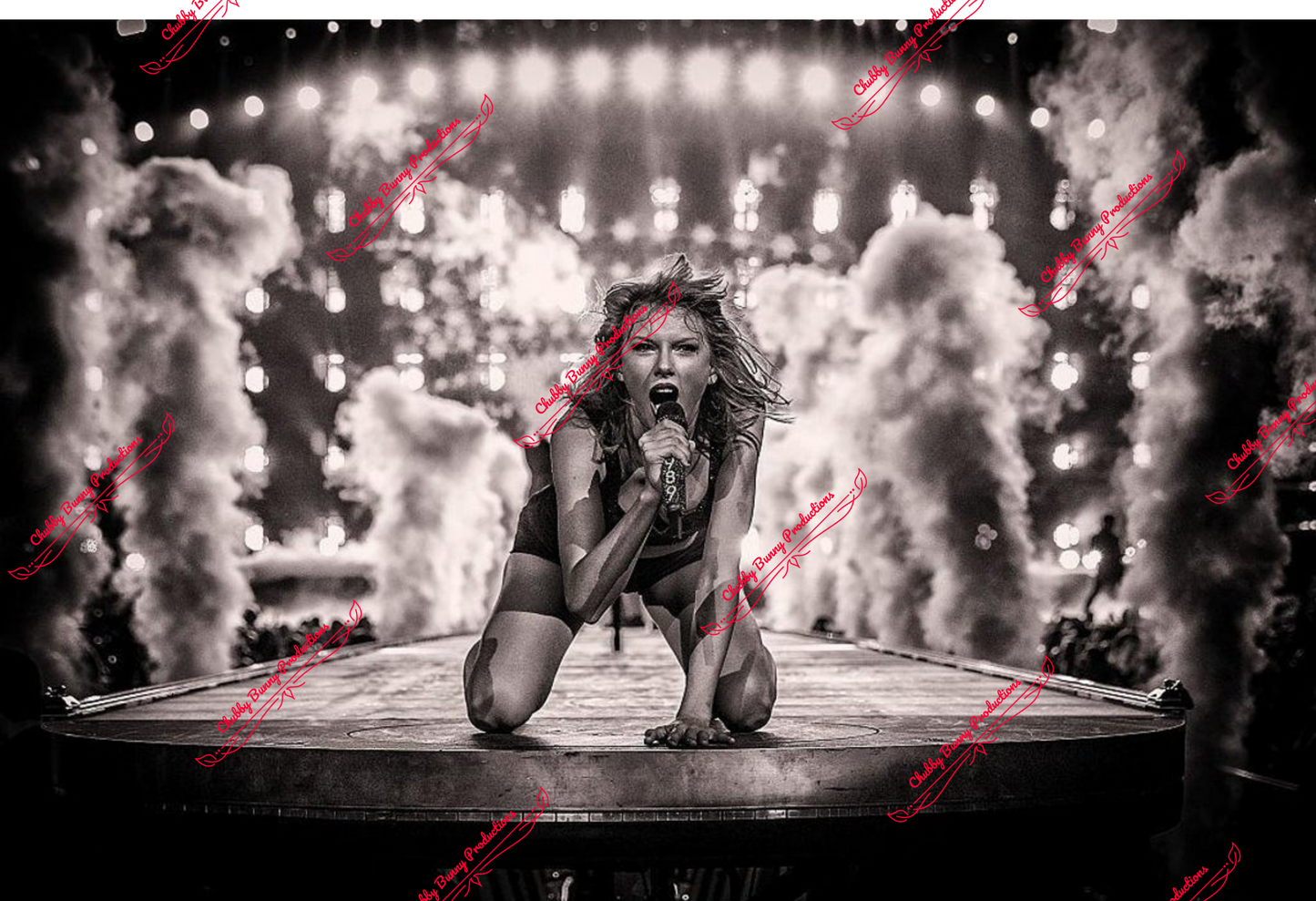 TS 1989 13x19 Print