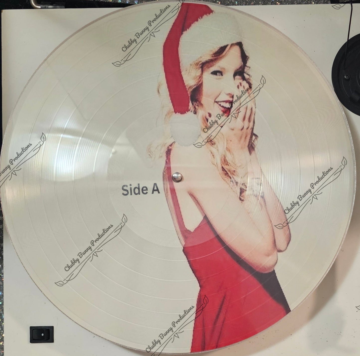 TS Fan Made Christmas Picture LP
